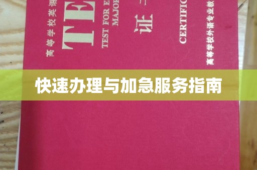 连云港快速办理与加急服务指南