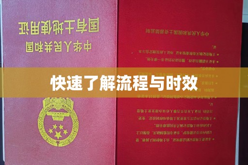 连云港快速了解流程与时效