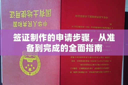 连云港签证制作的申请步骤，从准备到完成的全面指南