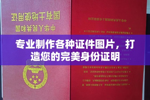 连云港专业制作各种证件图片，打造您的完美身份证明