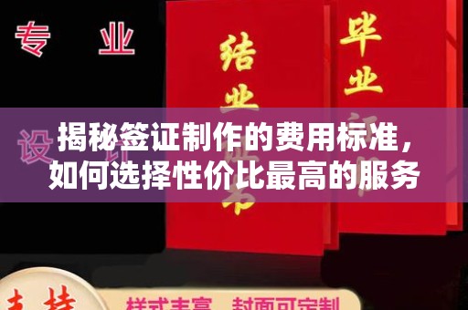 连云港揭秘签证制作的费用标准，如何选择性价比最高的服务？