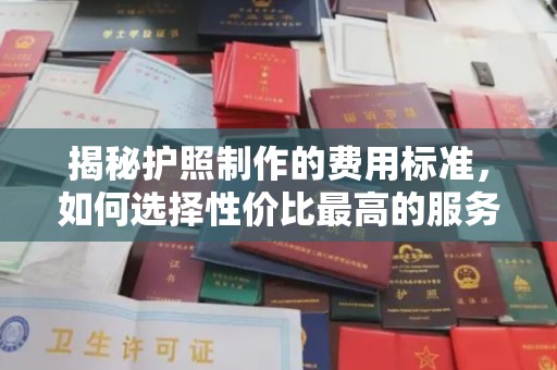 连云港揭秘护照制作的费用标准，如何选择性价比最高的服务？