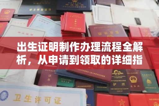 连云港出生证明制作办理流程全解析，从申请到领取的详细指南