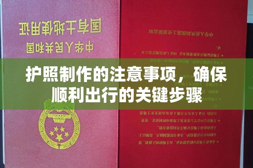 连云港护照制作的注意事项，确保顺利出行的关键步骤