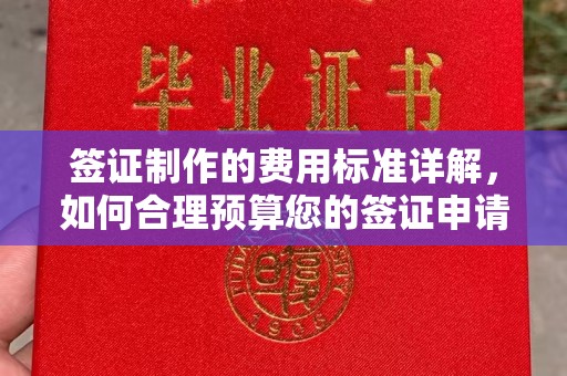 连云港签证制作的费用标准详解，如何合理预算您的签证申请成本