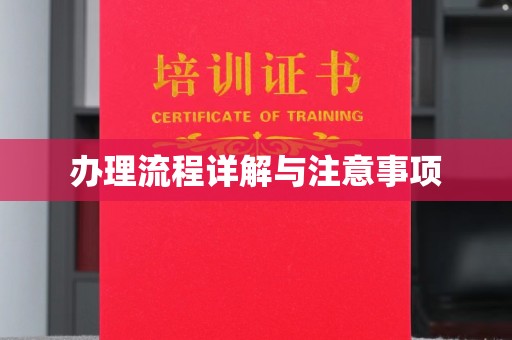 连云港办理流程详解与注意事项